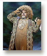 b5.wiz.lion.ford.story