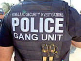 a2.immigration.gang.illegal.home