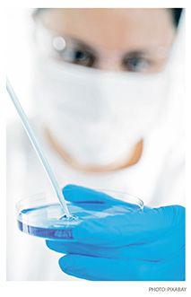 c1.medical.immunotherapy.cancer.petri.story