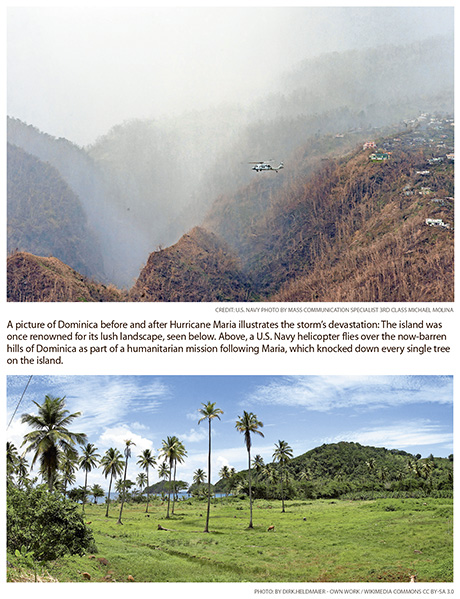 a5.cover.jamaica.caribbean.dominica.story