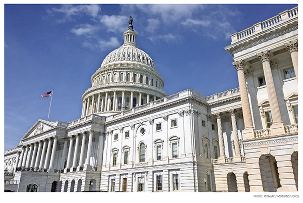 New Committee Chairs Bring Check on Trump Foreign Policy in House, Support in Senate