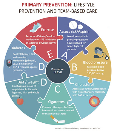 a6.medical.heart.seniors.chart.story