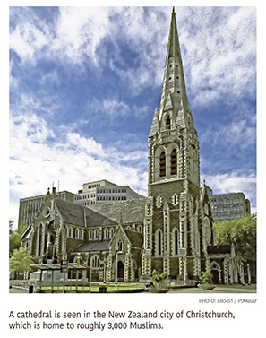 a5.new.zealand.cathedral.christchurch.story
