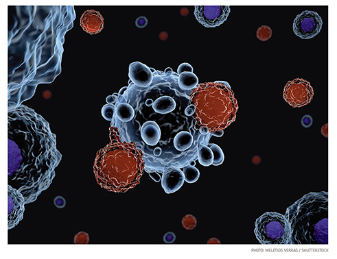 New ‘Cancer Vaccine’ Could Destroy Tumors from Within