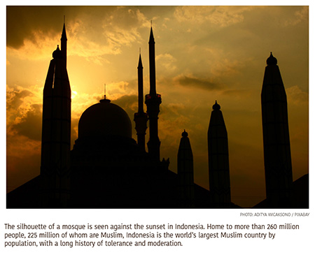 With Its Territory Gone, Islamic State Makes Inroads in South and Southeast Asia