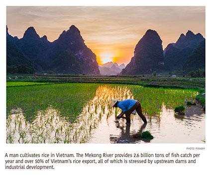 a3.china.mekong.vietnam.rice.story
