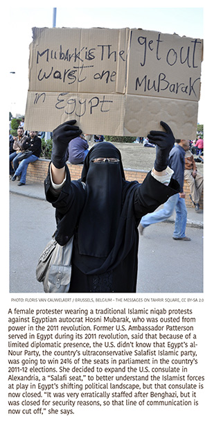 a3.risk.protester.egypt.story