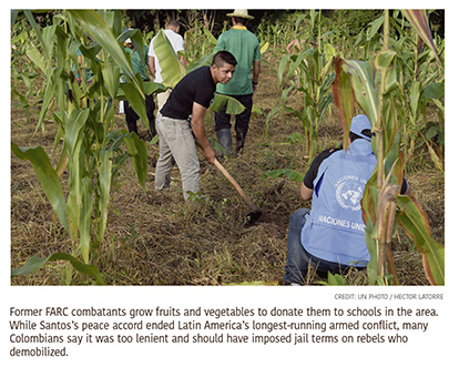 a4.colombia.farc.former.harvest.story