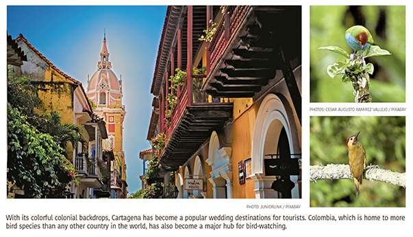a4.colombia.tourism.cartagena.birds.story