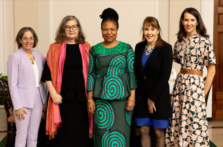Iceland, Nigerian envoys lead panel on women’s health, gender equality