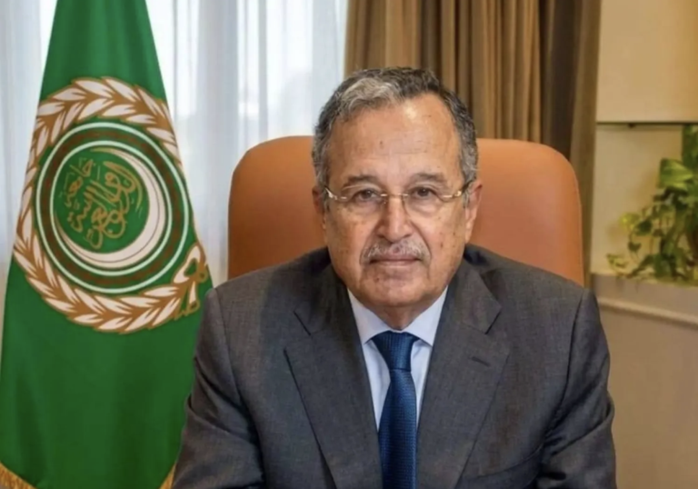 Egypt’s Nabil Fahmy outlines his priorities as chief of Arab League